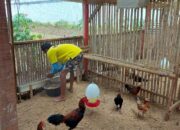 Lapas Bukittinggi Latih Warga Binaan Agar Produktif dan Mandiri