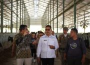 Fasih Bahasa Inggris, Bupati Solok Epyardi Asda Jelaskan Soal Pertanian ke Warga Negara Asing