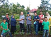 Pabrik AQUA Solok Bantu Petani Kembangkan Sistem Aquaponik, Hasil Panen Meningkat