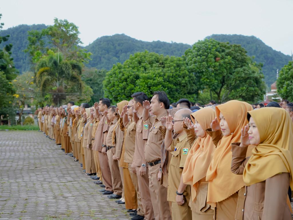 smart city kabupaten solok