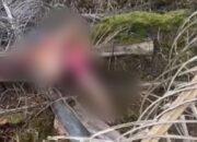 Geger Penemuan Mayat di Pesisir Selatan, Ini Identitasnya