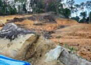 Diduga Pembangunan di Pulau Cubadak Pessel Tak Ada Izin, AJPLH Buat Laporan ke KLHK