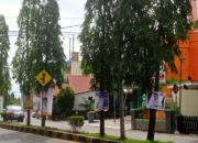 APK Caleg Menjamur di Pesisir Selatan, Pengamat Bilang Begini