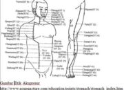 AKUPRESUR UNTUK TERAPI KESEHATAN