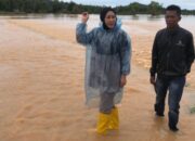 Penanganan Banjir di Sumatera Barat, Lisda Hendrajoni Langsung Koordinasi Dengan BNPB