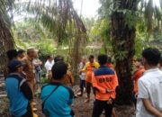 Pria Paruh Baya Dilaporkan Hilang di Pesisir Selatan, Diduga Diterkam Buaya