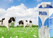 Mengapa UHT Bukan Susu untuk Anak?