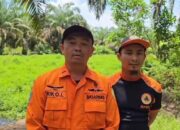 Pencarian Korban Diduga Diterkam Buaya di Pesisir Selatan Dihentikan