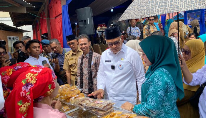 Nagari Jawi Jawi Dinilai Tim Pusat, Bupati Solok: Jika Juara 1, Dianggarkan Rp1 Miliar