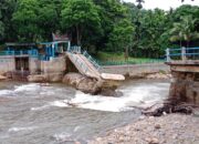 Saluran Irigasi Tak Kunjung Diperbaiki, Puluhan Ribu Hektar Sawah di Lengayang Pesisir Selatan Terancam Kekeringan