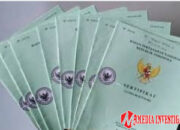 Percepatan Sertifikasi Aset Pemda Dharmasraya: Fokus pada Jalan di Tahun 2024