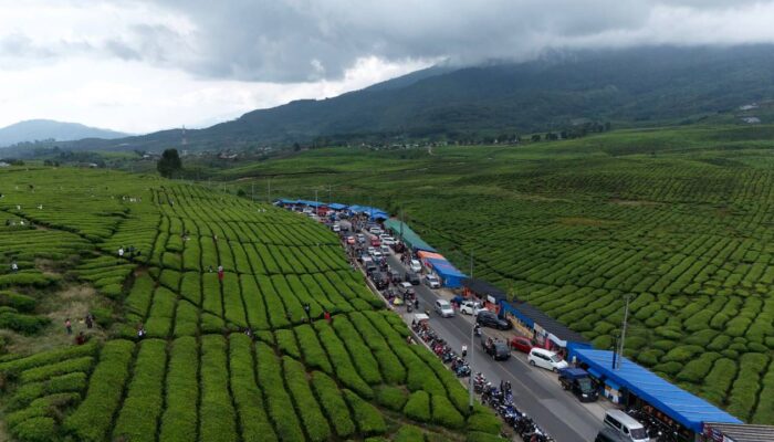 menggaet investor kabupaten solok