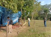 Kapolsek Tapan Tutup Lokasi yang Diduga Sebagai Tempat Judi Sabung Ayam