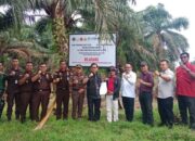 Satgas PKH Segel Perkebunan Sawit Ilegal di Pesisir Selatan