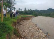 Wakil Bupati Pessel Risnaldi Ibrahim Tinjau Kerusakan Bantaran Sungai Batang Bayang