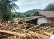 Anggota DPRD Pesisir Selatan Desak Penindakan Tegas terhadap Pelaku Illegal Logging