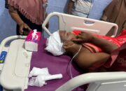 Warga Pesisir Selatan Diserang Buaya Saat Menjaring Ikan di Sungai Batang Lumpo