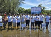 Bupati Pesisir Selatan Tanam 9.000 Bibit Mangrove di Pantai Tan Sridano Batang Kapas