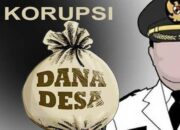 Dugaan Mark-Up Pengadaan Ayam di Pesisir Selatan, Tenaga Honorer DPMD Diduga Terlibat