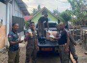 Puluhan Liter Tuak Siap Edar Diamankan di Tapan, Satpol PP Pessel Bertindak Tegas