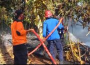 Kebakaran Lahan Terjadi di Nagari Aripan, Tim Gabungan Lakukan Pemadaman