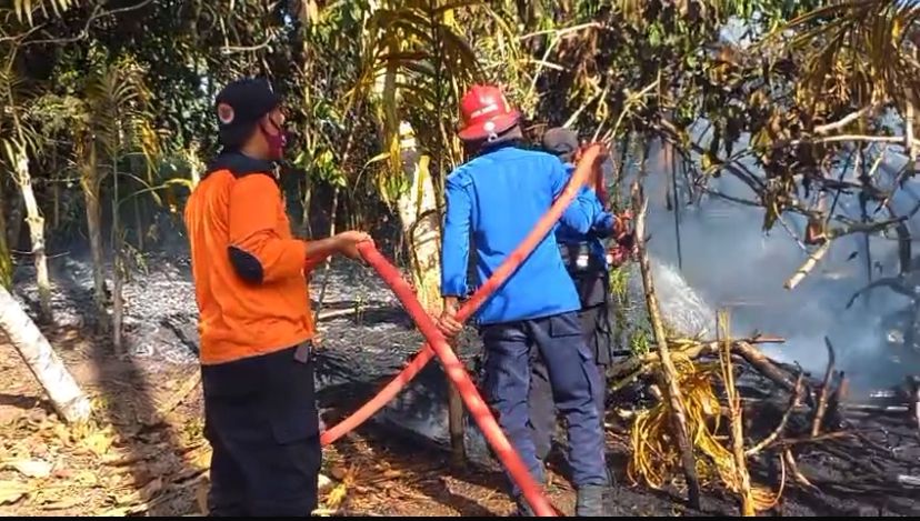 kebakaran lahan nagari aripan