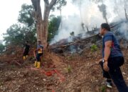 Kebakaran Hutan Terjadi di Bukit Langkisau, Api Berhasil Dipadamkan Tim Gabungan