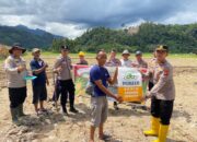 Polres Pesisir Selatan Tanam Jagung di Batang Kapas, Dukung Ketahanan Pangan Nasional