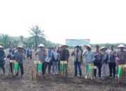 Dukung Ketahanan Pangan, Bupati Hendrajoni Hadiri Tanam Jagung Serentak Polres Pessel