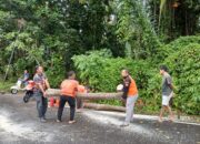 Hujan Deras Picu Bencana di Pesisir Selatan, BPBD Imbau Warga Tetap Waspada