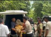 Laka Tunggal di Jalan Lintas Tapan–Sungai Penuh, Dua Orang Tewas, Satu Luka-Luka