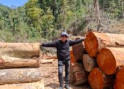 Hutan Hulu Sungai Batang Bayang Rusak Parah, DPRD Pessel Desak Penghentian Pembalakan di Sariak Bayang