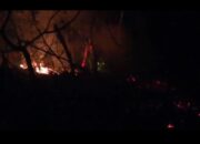 Karhutla Terjadi di Bukit Sabai Nan Aluih Tarusan, Sekitar 1 Hektare Lahan Perkebunan Terbakar