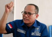 Novermal: Meski Dilarang KLHK, Pembalakan Liar Masih Merajalela di Hulu Batang Bayang