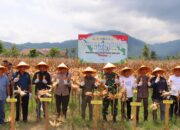Polres Pesisir Selatan Gelar Panen Raya Jagung Serentak, Dorong Swasembada Pangan di Daerah