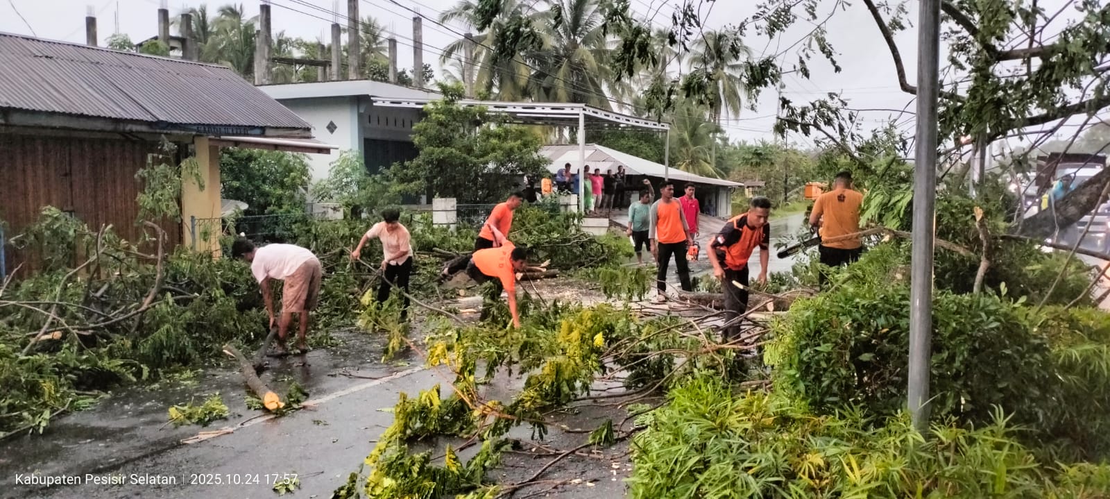 Cuaca Ekstrem, BPBD Pesisir Selatan Evakuasi Pohon Tumbang di Kincir Salido