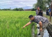 Irigasi Anai Dua Masih Kering, DPRD Pariaman Desak Pemerintah Pusat Turun Tangan!
