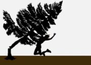 Perempuan di Padang Ganting Meninggal Tertimpa Pohon Saat Bekerja di Kebun