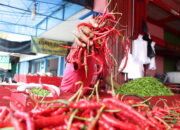 Inflasi Sumbar 4,52 Persen, Cabai Merah Penyumbang Terbesar