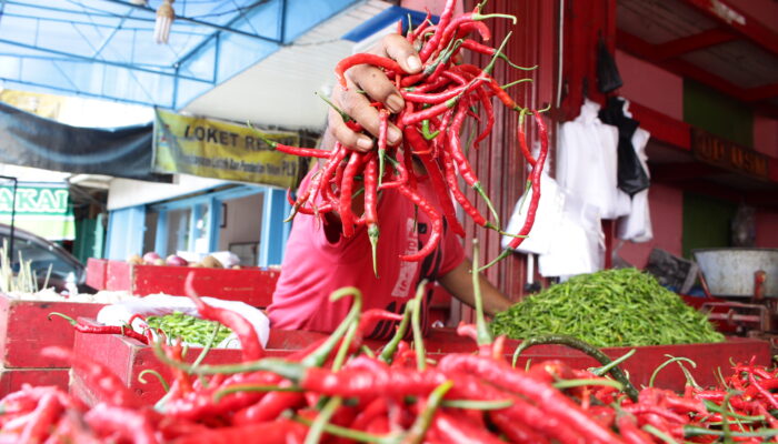 Inflasi Sumbar 4,52 Persen, Cabai Merah Penyumbang Terbesar