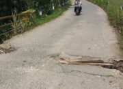 Jembatan Nyaris Jebol, Butuh Perhatian Dari Pihak Terkait