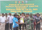 Personil TNI tanam jagung di Nagari Katiagan Mandiangin