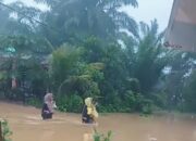 Puluhan Rumah Warga di Pesisir Selatan Terendam Banjir, BPBD: Kondisi Sudah Terkendali