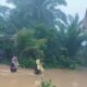 Puluhan Rumah Warga di Pesisir Selatan Terendam Banjir