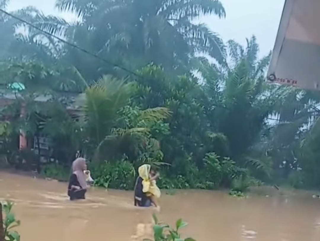 Puluhan Rumah Warga di Pesisir Selatan Terendam Banjir