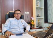 PHAT Penyebab Masifnya Ilegal Logging di Mentawai