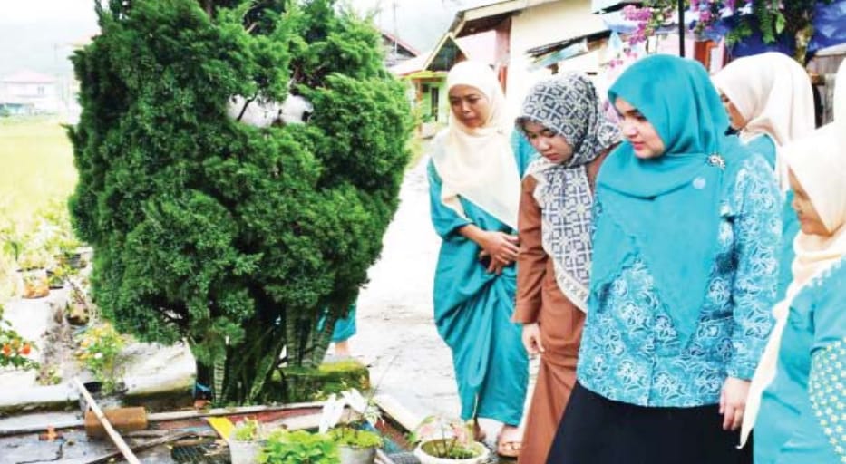 DASAWISMA SUNKIST 7 Bersiap Jadi yang Terbaik di Agam