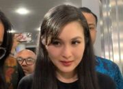 Aset Pribadi Artis Sandra Dewi Disita
