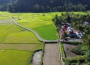 Hasil Panen dengan SPM Meningkat di Agam