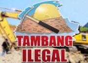 Instruksi Presiden tak Diindahkan, Alat Berat Leluasa Beroperasi di Tambang Ilegal di Kota Sawahlunto